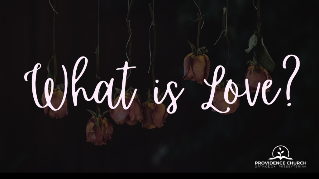 What Is Love?